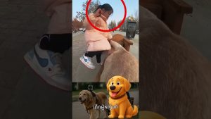 ตุบรับส่งนักเรียน-หมา